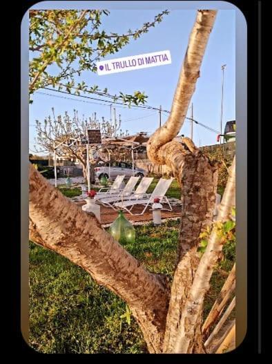 Il Trullo Di Mattia Noci Exterior foto